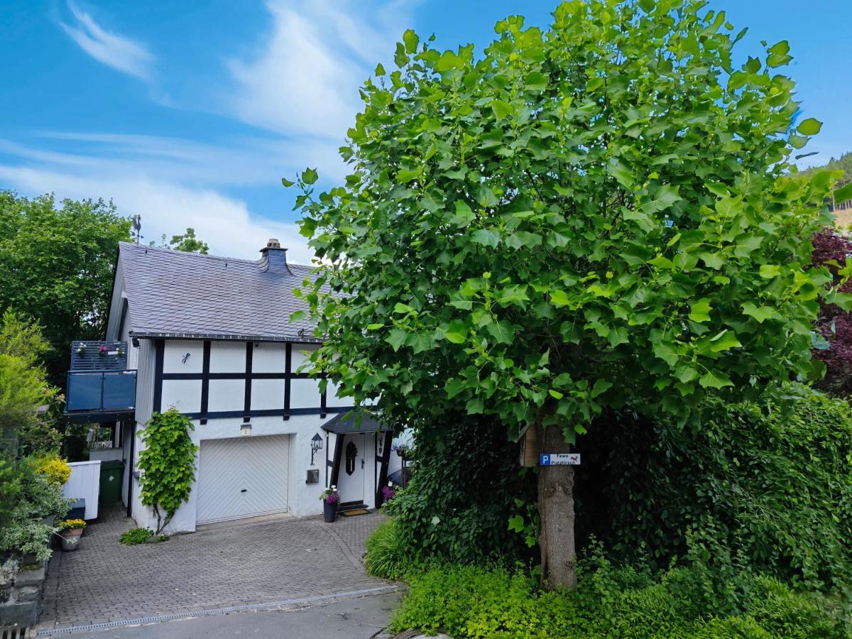 Ferienwohnung Platzhirsch für 2 - 4 Pers. Winterberg Exterior foto